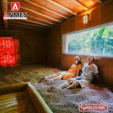 Sản phẩm phong xong hoi hoang tho aht03 220x220 — Công Ty CP Anmes — MST 0107815502