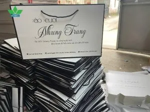 Sản phẩm In tui giay dung quan ao 300x225 — Công Ty TNHH Phát Triển Hà Khoa — MST 0107824088