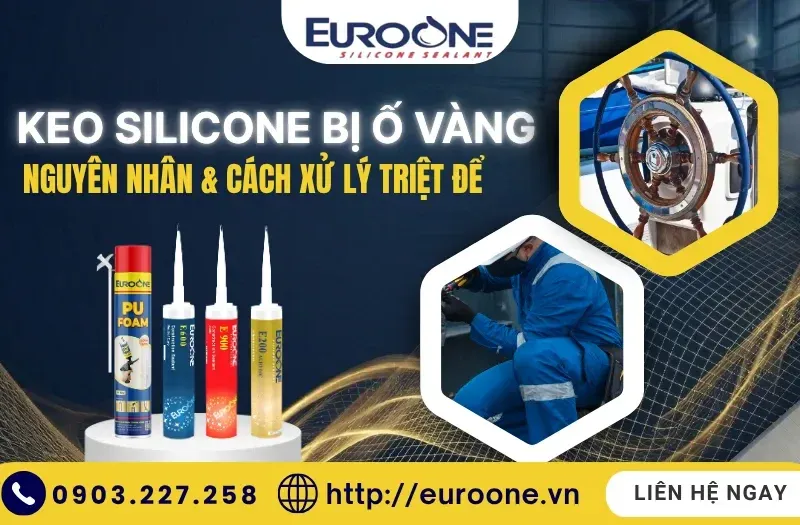 Sản phẩm 7_1_11zon 800x525 — Chi Nhánh Công Ty Cổ Phần Thương Mại Đầu Tư Quốc Tế EUROONE Việt Nam — MST 0107848441
