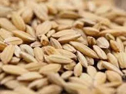Sản phẩm Vận chuyển hạt giống nông sản chuyên nghiệp. Đảm bảo an toàn 100 — Công Ty TNHH Phát Triển Thương Mại Vận Tải Trường Giang — MST 0107850955