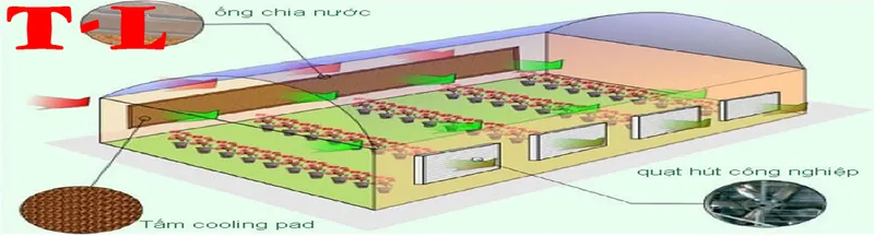 Sản phẩm tl2 — Công Ty TNHH Cơ Điện Tuấn Long — MST 0107854780