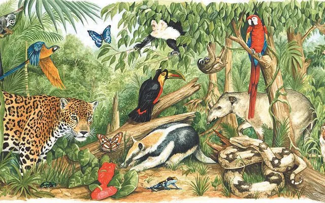 Sản phẩm slide jungle 640x400 — Công Ty Cổ Phần Công Nghệ, Con Người Và Thiên Nhiên — MST 0107856756