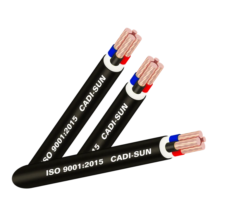Sản phẩm CVV 3x 1x CDS — Công Ty TNHH Thiết Bị Điện Nhật Hoàng — MST 0107872405