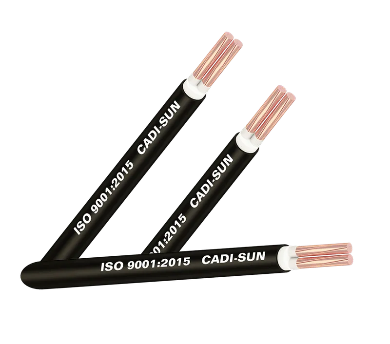 Sản phẩm CXV 2x CDS — Công Ty TNHH Thiết Bị Điện Nhật Hoàng — MST 0107872405