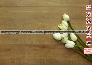 Sản phẩm 3 Sàn Gỗ Công Nghiệp Alder AD9195 300x212 — Sàn Gỗ Gia Bảo - Công Ty CP Đầu Tư Thương Mại Bảo Hồng Thăng — MST 0107894007