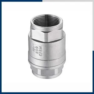 Sản phẩm van 1 chieu lo xo 5 300x300 — Phụ Kiện Inox GAAD - Công Ty TNHH Kỹ Thuật GAAD — MST 0107905153