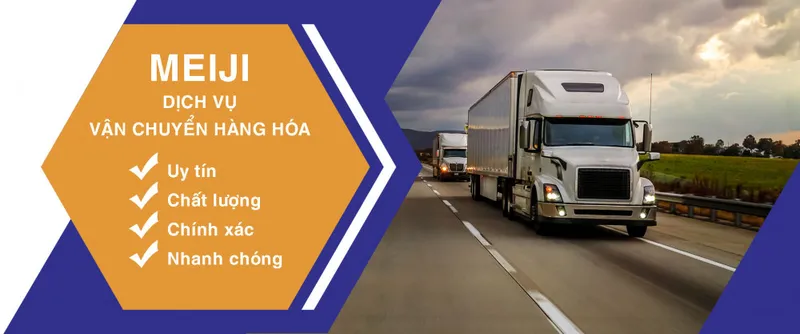 Sản phẩm B1 — Vận Tải Meiji - Công Ty TNHH Quốc Tế Meiji — MST 0107908838