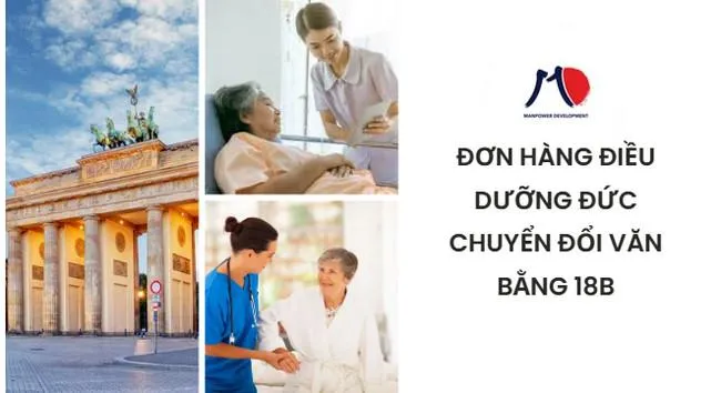 Sản phẩm nganh dieu duong duc — Công Ty Cổ Phần Phát Triển Nguồn Nhân Lực MD Việt Nam — MST 0107922293