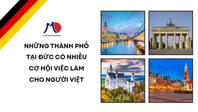 Sản phẩm thanh pho tai duc — Công Ty Cổ Phần Phát Triển Nguồn Nhân Lực MD Việt Nam — MST 0107922293