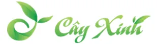 Sản phẩm cay xinh — Công Ty TNHH Nội Thất Và QC Hà Nội Phát — MST 0107924036