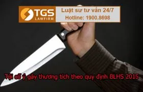 Sản phẩm toi co y gay thuong tich theo dieu 134 blhs 2015 sua doi bo sung 280x180 — Công Ty TNHH Luật TGS — MST 0107934690