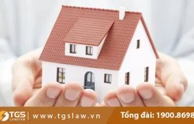 Sản phẩm con cai co quyen khong 280x180 — Công Ty TNHH Luật TGS — MST 0107934690