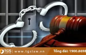 Sản phẩm mientrachnhiemhinhsu 280x180 — Công Ty TNHH Luật TGS — MST 0107934690