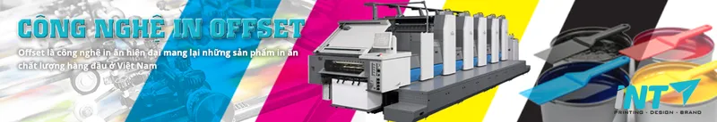 Sản phẩm offset — In Thiết Kế INT - Công Ty TNHH In INT Việt Nam — MST 0107939603