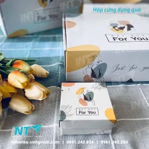 Sản phẩm hop 0003 300x300 — In Thiết Kế INT - Công Ty TNHH In INT Việt Nam — MST 0107939603