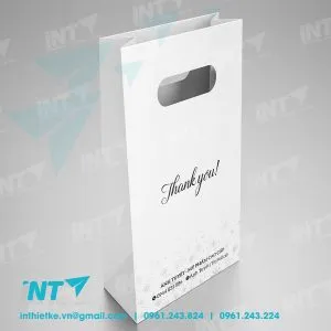 Sản phẩm tui giay 0001 300x300 — In Thiết Kế INT - Công Ty TNHH In INT Việt Nam — MST 0107939603