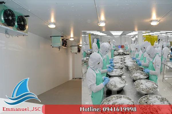 Sản phẩm kho lanh bao quan dong — Kho Lạnh Emmanuel - Công Ty CP Công Nghiệp Lạnh Emmanuel — MST 0107955080