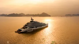 Sản phẩm ese — Công Ty TNHH DVS Việt Nam — MST 0107960475