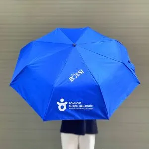 Sản phẩm xanh 5 300x300 — Quà Tặng Bossi - Công Ty TNHH Bossi Việt Nam — MST 0107962144