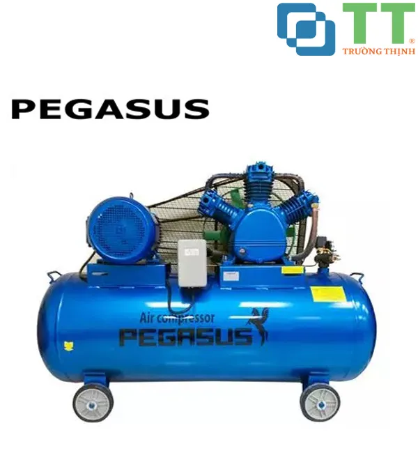 Sản phẩm may nen khi day dai pegasus tm w 0 67 8 500l — Công Ty TNHH XNK Và Đầu Tư Trường Thịnh Việt Nam — MST 0107963331