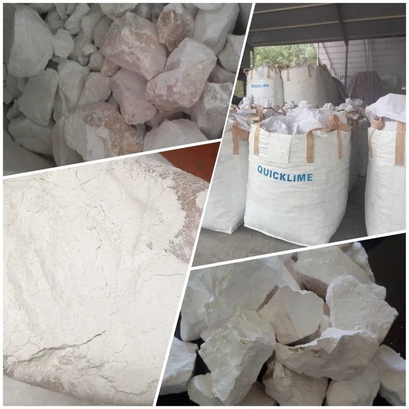 Sản phẩm z2571731462334_a01226d54c43f1952f50d5926499f12f — Công Ty TNHH Anh Minh Việt Nam — MST 0107966639