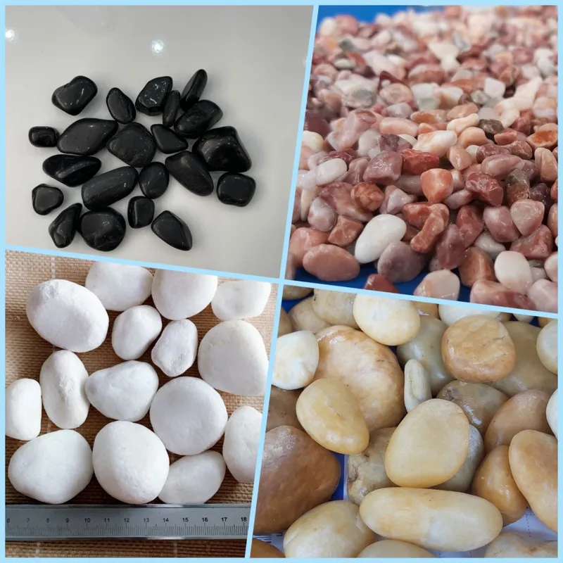 Sản phẩm z2572520786299_7ea4a42dc1edf6de930feab1934fe673 — Công Ty TNHH Anh Minh Việt Nam — MST 0107966639