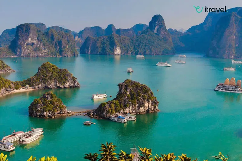 Sản phẩm z7071214258259_d13c41b05f00f1492443dcd111dbd448_774d703c79a10ad0dea567f7eae394a7 — Công Ty TNHH Thương Mại Và Dịch Vụ Itravel Việt Nam — MST 0107968636