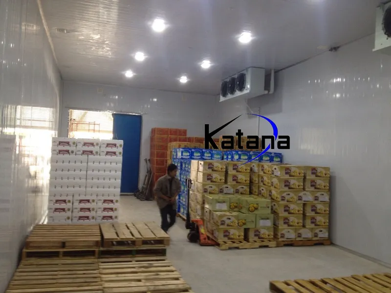 Sản phẩm kho lanh bao quan trai cay 3 — Kho Lạnh Katana - Công Ty Cổ Phần Cơ Điện Katana Việt Nam — MST 0107968932