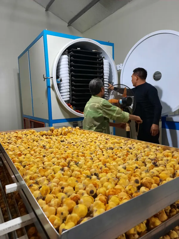 Sản phẩm 1671697802_z3341802518379_0b4519acb71b2e8f850eabc5d01eef4a _1_ — Kho Lạnh Katana - Công Ty Cổ Phần Cơ Điện Katana Việt Nam — MST 0107968932