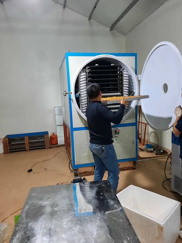 Sản phẩm 1671697802_z3341802551481_bd2198e847d4177f8e616c6b35d01515 _2_ — Kho Lạnh Katana - Công Ty Cổ Phần Cơ Điện Katana Việt Nam — MST 0107968932