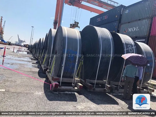 Sản phẩm bang tai cao su nhat bai 04 600x450 — Công Ty TNHH Thương Mại Cơ Khí Chế Tạo Trường Phát — MST 0107969326