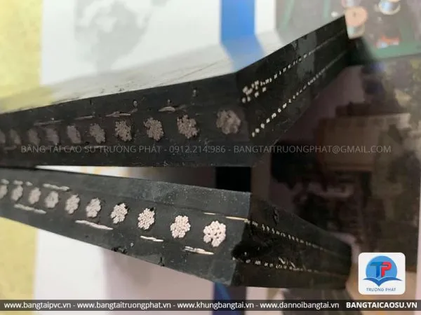 Sản phẩm bang tai cap thep 04 600x450 — Công Ty TNHH Thương Mại Cơ Khí Chế Tạo Trường Phát — MST 0107969326