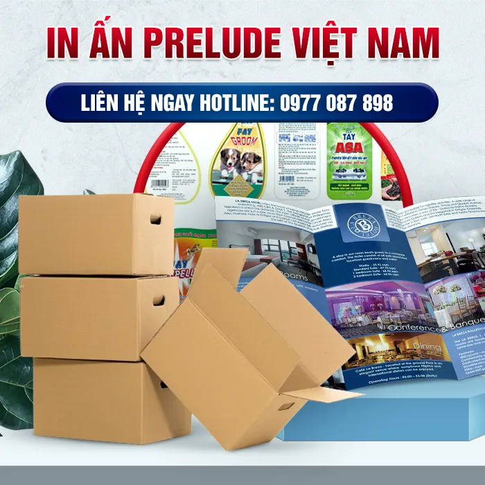 Sản phẩm intro — Bao Bì Giấy Prelude Việt Nam - Công Ty TNHH In ấn Prelude Việt Nam — MST 0107974365