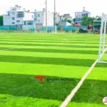 Sản phẩm san bong da tai bac kan san bong da nhan tao 379 150x150 — Cỏ Nhân Tạo GREEN SPORTS - Công Ty Cổ Phần GREEN SPORTS — MST 0107988382