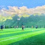 Sản phẩm san bong da tai ha giang san bong vuc giang 150x150 — Cỏ Nhân Tạo GREEN SPORTS - Công Ty Cổ Phần GREEN SPORTS — MST 0107988382