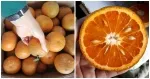 Sản phẩm cach bao quan cam quyt tuoi lau 3 — Kho Lạnh Công Nghiệp An Bình - Công Ty Cổ Phần Kỹ Thuật Công Nghiệp An Bình — MST 0107989636