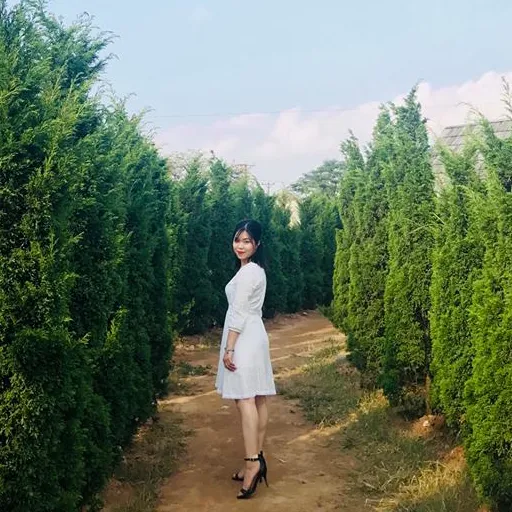 Sản phẩm mai — Công Ty TNHH Công Nghệ Và Truyền Thông Ngọc Thắng — MST 0107994795