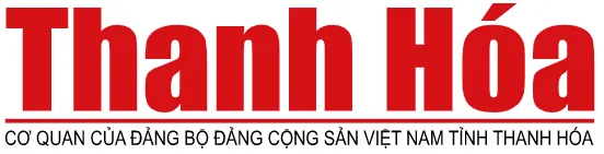 Sản phẩm doi tac 1944409824 — Nắp Hố Ga T&T - Công Ty TNHH Thương Mại Sản Xuất Và Vận Tải T&T Hà Nội — MST 0108010003