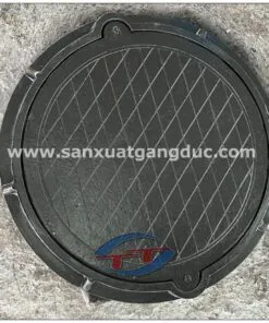 Sản phẩm san pham 1072793466 247x296 — Nắp Hố Ga T&T - Công Ty TNHH Thương Mại Sản Xuất Và Vận Tải T&T Hà Nội — MST 0108010003