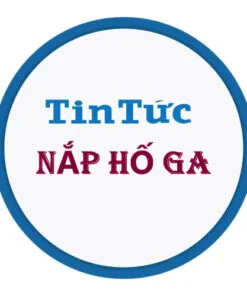 Sản phẩm san pham 117577406 247x296 — Nắp Hố Ga T&T - Công Ty TNHH Thương Mại Sản Xuất Và Vận Tải T&T Hà Nội — MST 0108010003