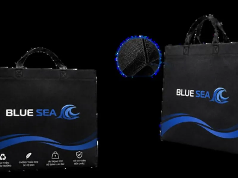 Sản phẩm bluesea cat tui pp — Công Ty Cổ Phần Bao Bì Blue Sea — MST 0108010532