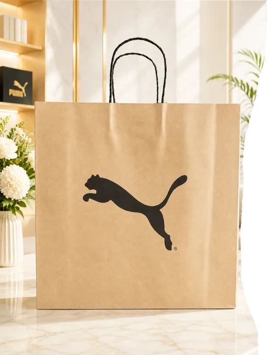 Sản phẩm bluesea cat tui shopping bag — Công Ty Cổ Phần Bao Bì Blue Sea — MST 0108010532