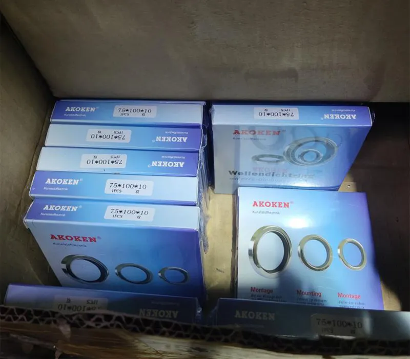 Sản phẩm PTFE oil seal for compressor Akoken 1 — Phớt Máy Bơm Bình Minh - Công Ty TNHH Thiết Bị Cơ Điện Bình Minh — MST 0108015097