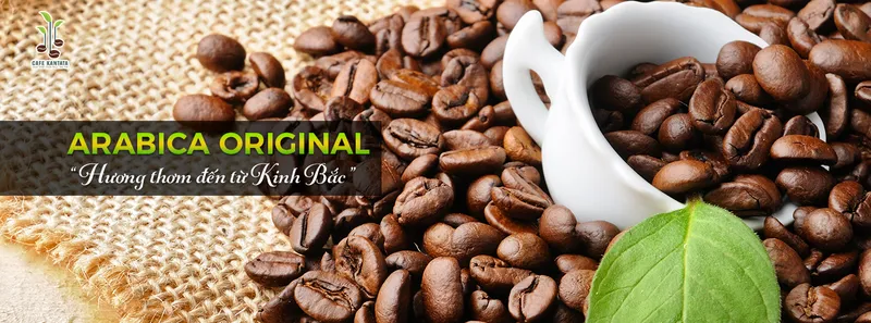 Sản phẩm cafe viet nam ARABICA ORIGINAL — Công Ty Cổ Phần Cafe Kantata — MST 0108025345