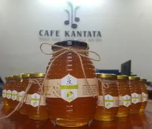 Sản phẩm mat ong hoa ca phe nguyen chat kantata 8 300x255 — Công Ty Cổ Phần Cafe Kantata — MST 0108025345