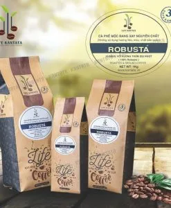 Sản phẩm Robusta chat luong cao 1 247x300 — Công Ty Cổ Phần Cafe Kantata — MST 0108025345