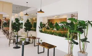 Sản phẩm quan ca phe dong da 1 300x181 — Công Ty Cổ Phần Cafe Kantata — MST 0108025345