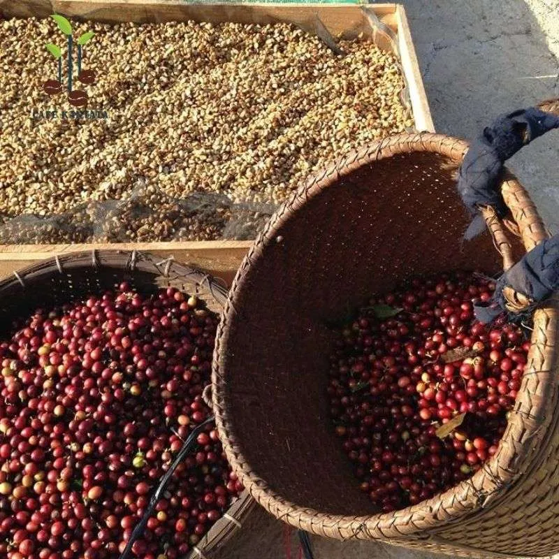 Sản phẩm Arabica Coffee Premium Kantata Vietnam — Công Ty Cổ Phần Cafe Kantata — MST 0108025345