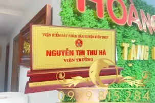 Sản phẩm CD2 2 1 303x203 — Công Ty TNHH Mỹ Thuật Hoàng Kim Việt Nam — MST 0108025426