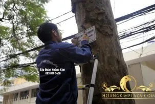 Sản phẩm SO NHA 012 303x203 — Công Ty TNHH Mỹ Thuật Hoàng Kim Việt Nam — MST 0108025426